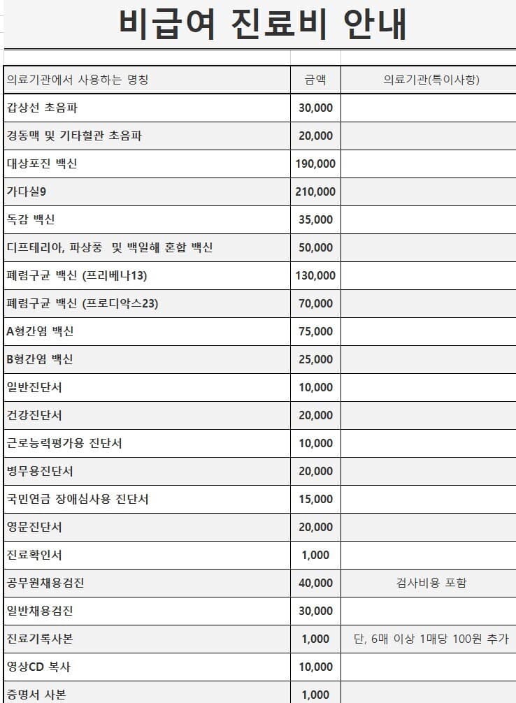 비급여 진료비